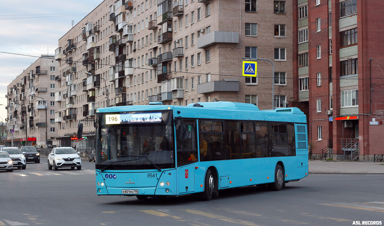 Санкт-Петербург, МАЗ-203.016 № 8561 Санкт-Петербург, МАЗ-203.016 № 8561