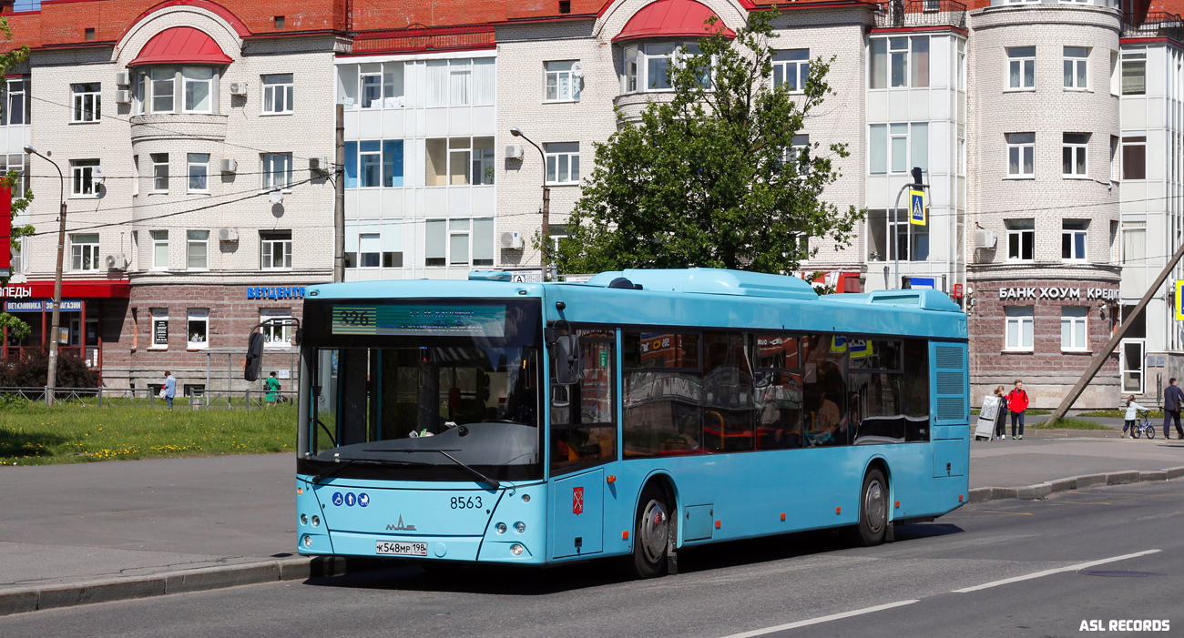 Санкт-Петербург, МАЗ-203.016 № 8563