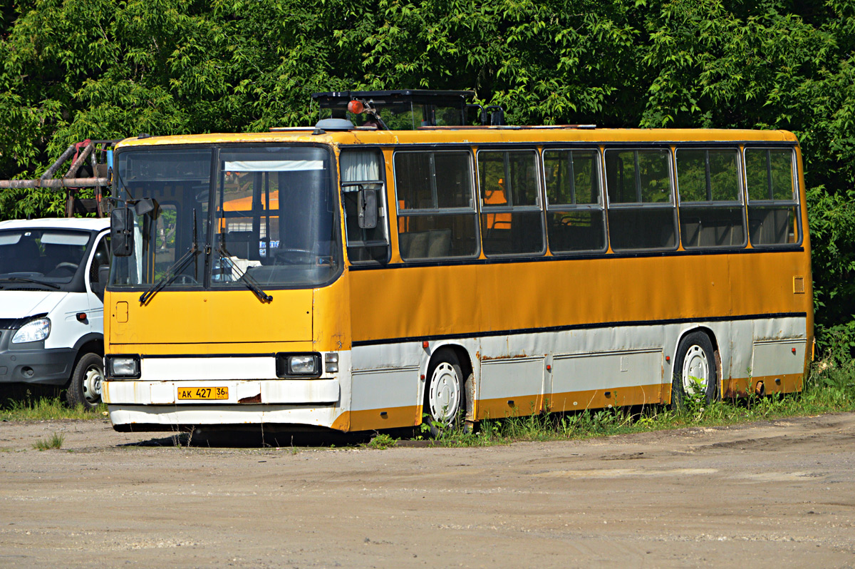 Воронежская область, Ikarus 260.27 № АК 427 36