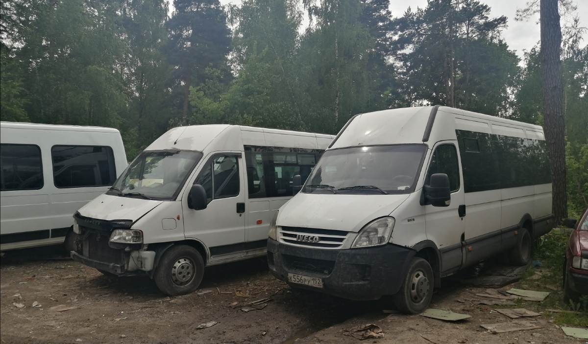 Москва, Нижегородец-2227US (IVECO Daily) № К 556 РУ 152