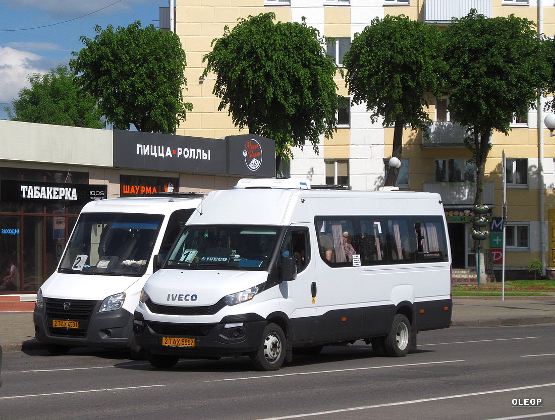 Витебская область, Нижегородец-2227UR (IVECO Daily) № 2 ТАХ 5667