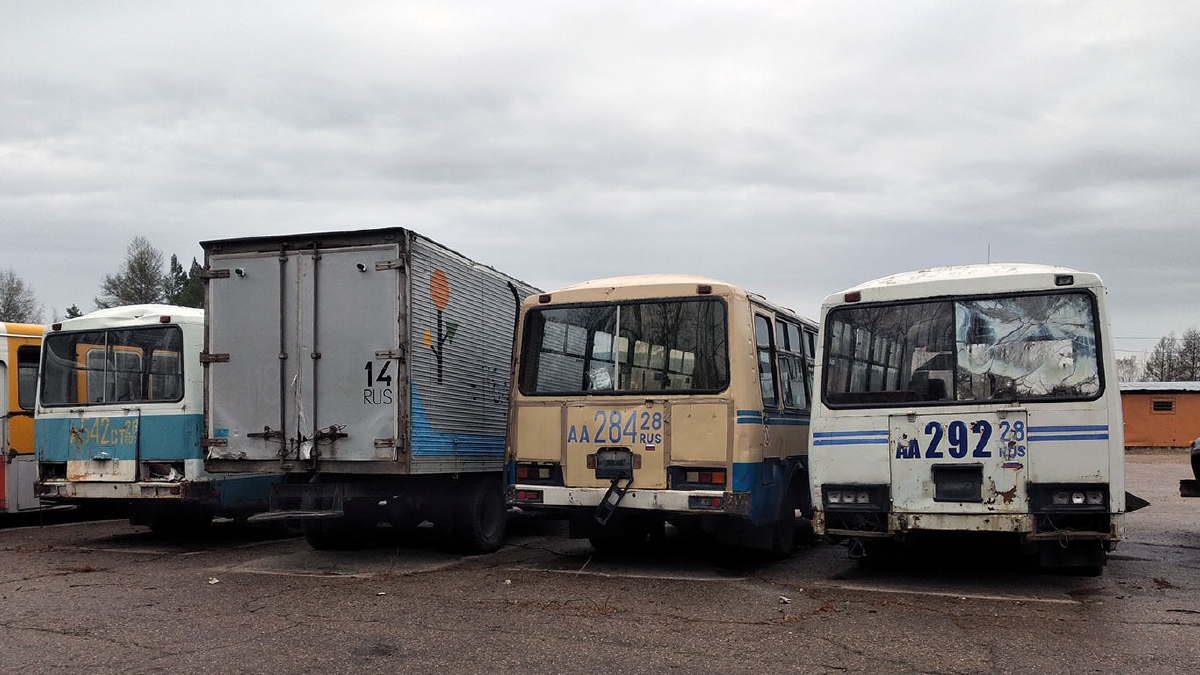 Амурская область, ПАЗ-3205 (00) № 263; Амурская область, ПАЗ-3205 (00) № АА 284 28; Амурская область, ПАЗ-3205 (00) № АА 292 28