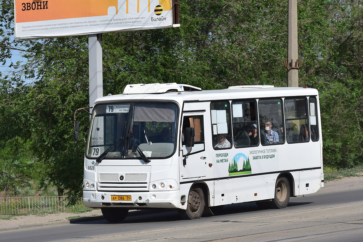 Волгоградская область, ПАЗ-320302-11 № 9828