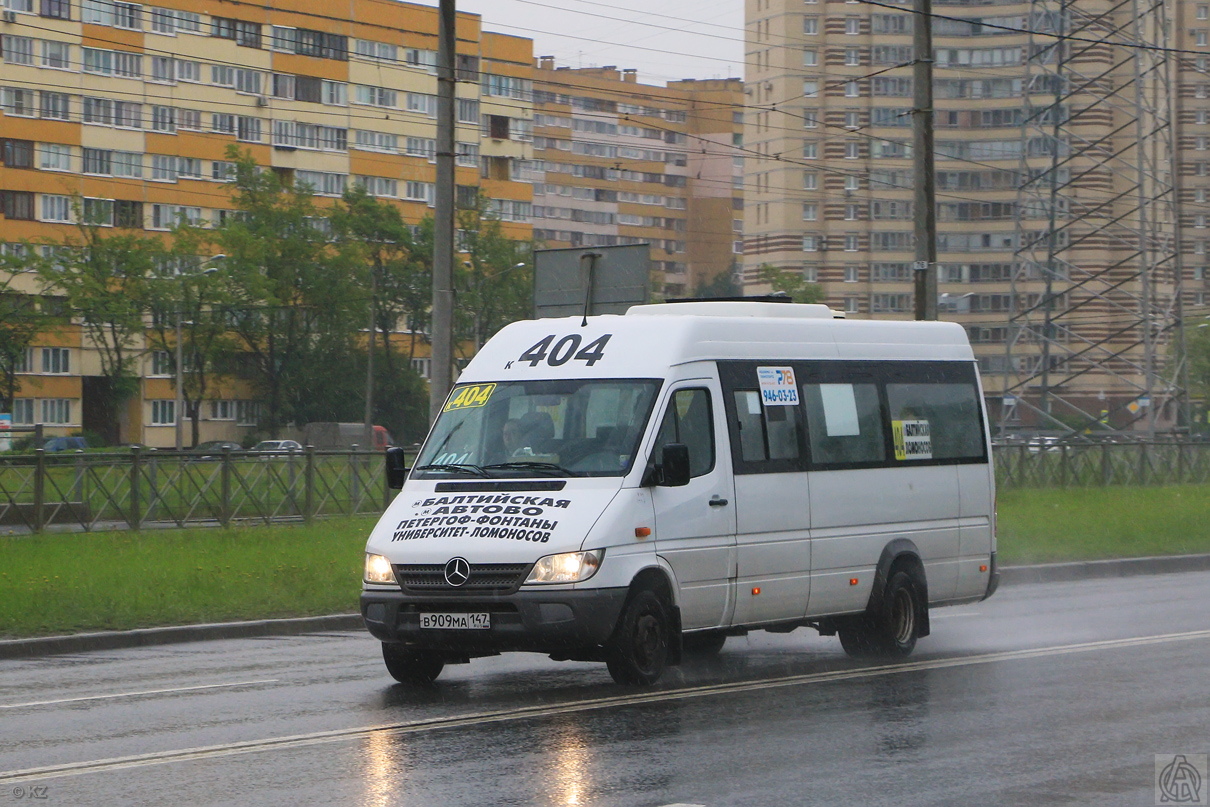 Санкт-Петербург, Луидор-223237 (MB Sprinter Classic) № В 909 МА 147