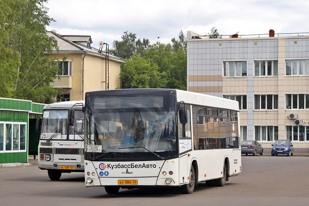 Kemerovo region - Kuzbass, MAZ-206.068 Nr. АУ 084 42