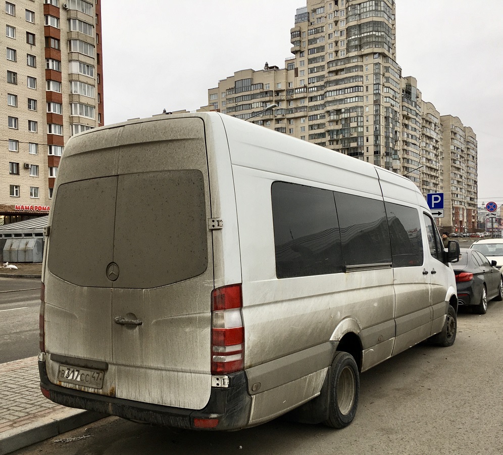 Санкт-Петербург, Луидор-22360C (MB Sprinter) № В 317 СС 47