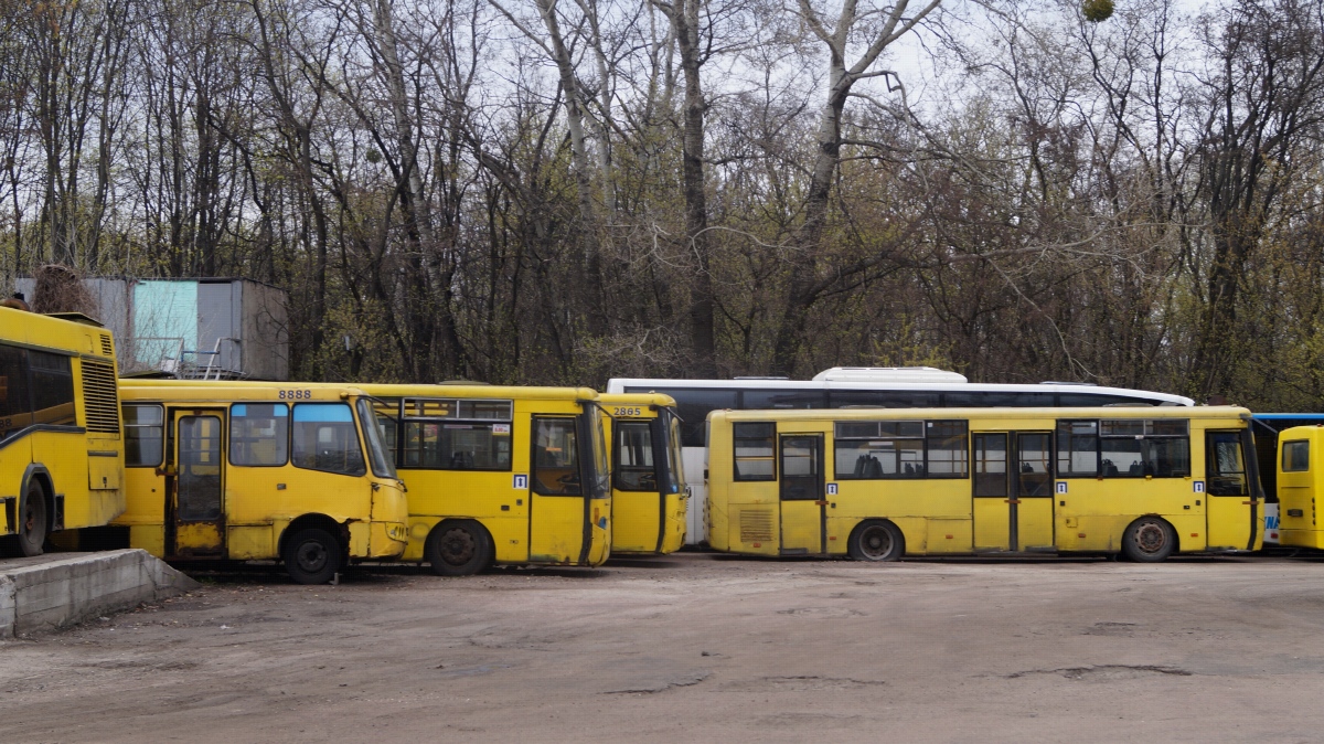 Киев — Автобусы без номеров