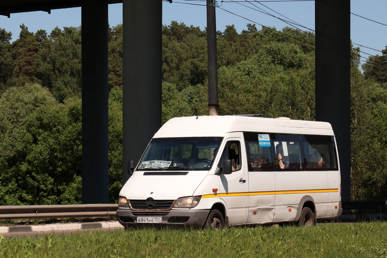 Московская область, Луидор-223203 (MB Sprinter Classic) № В 841 НА 750