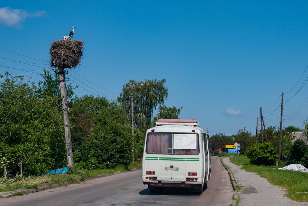 Kyiv region, PAZ-32054 № AI 0216 BB; Kyiv region — Miscellaneous photos