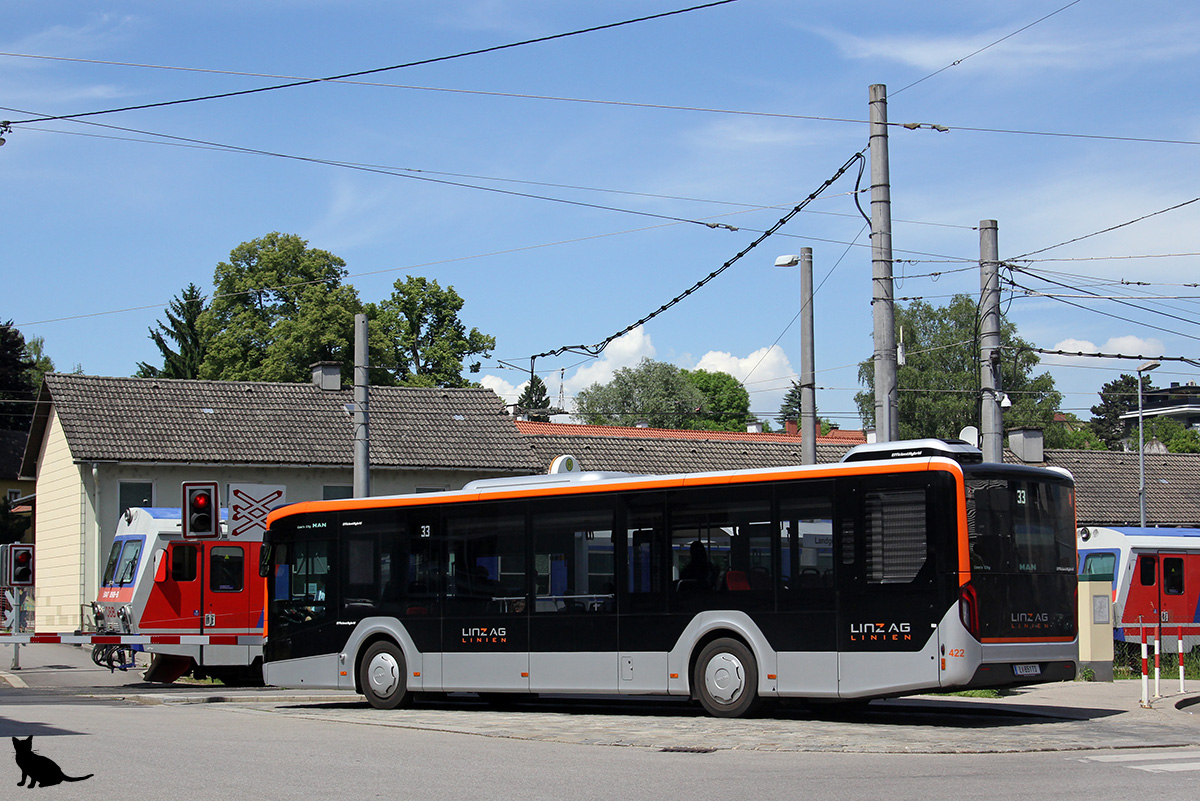 Австрия, MAN 12C Lion's City 12 NL360 EfficientHybrid № 422