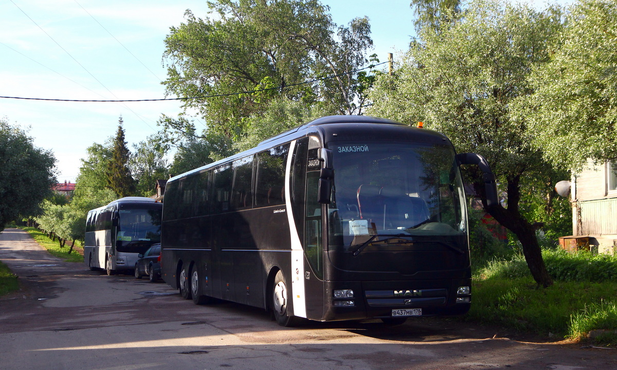 Псковская область, MAN R07 Lion's Coach RHC414 № Х 116 РУ 60; Санкт-Петербург, MAN R08 Lion's Coach L RHC444 L № В 437 МВ 178