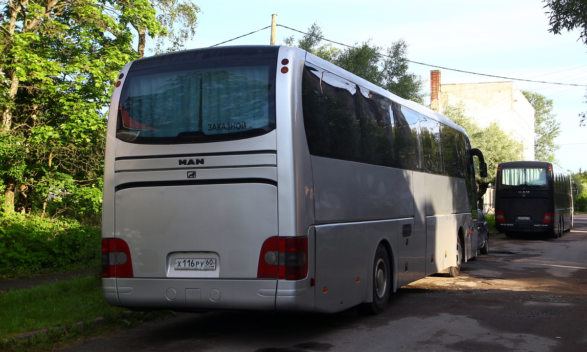 Псковская область, MAN R07 Lion's Coach RHC414 № Х 116 РУ 60