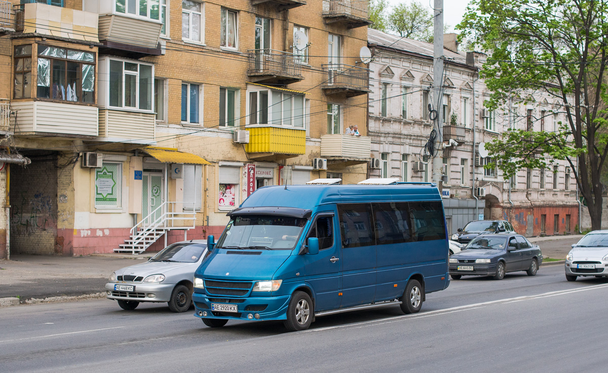 Днепропетровская область, Mercedes-Benz Sprinter W903 310D № AE 2920 KX