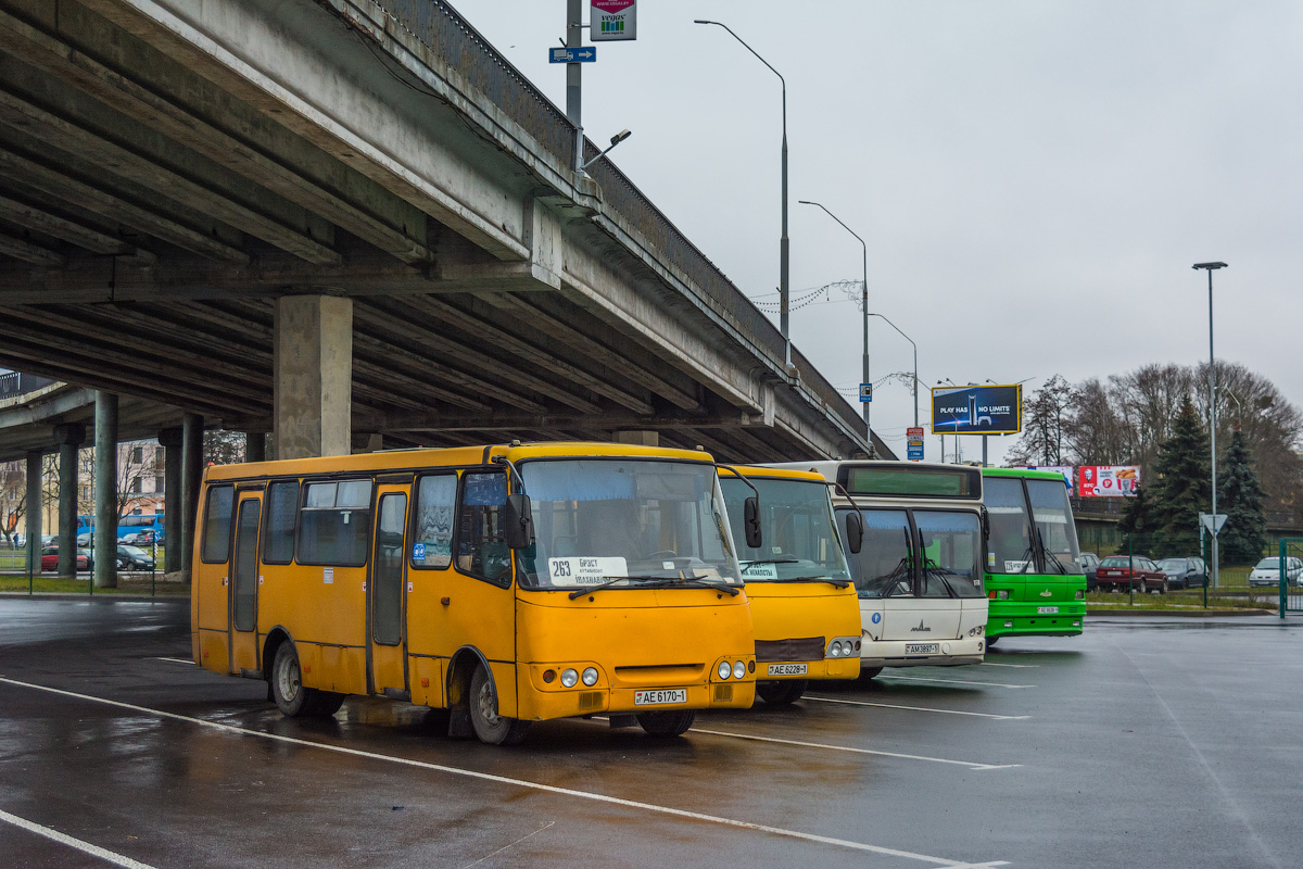 Брестская область, ГАРЗ А09202 "Радимич" № 580