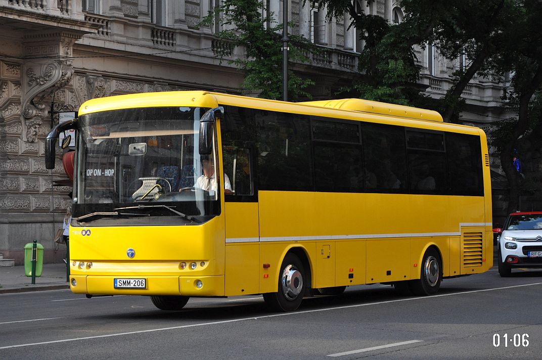 Венгрия, TEMSA Metropol № SMM-206