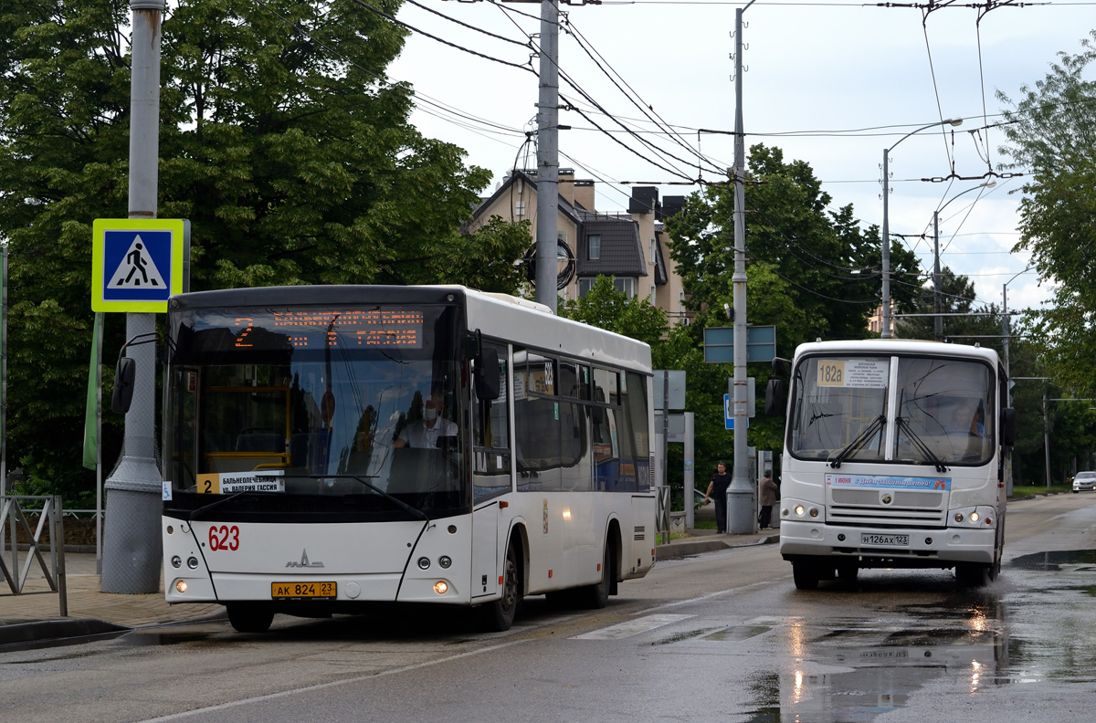 Краснодарский край, МАЗ-206.086 № 623; Краснодарский край, ПАЗ-320402-03 № Н 126 АХ 123