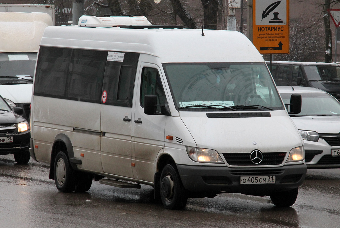 Белгородская область, Луидор-223201 (MB Sprinter Classic) № О 405 ОМ 31