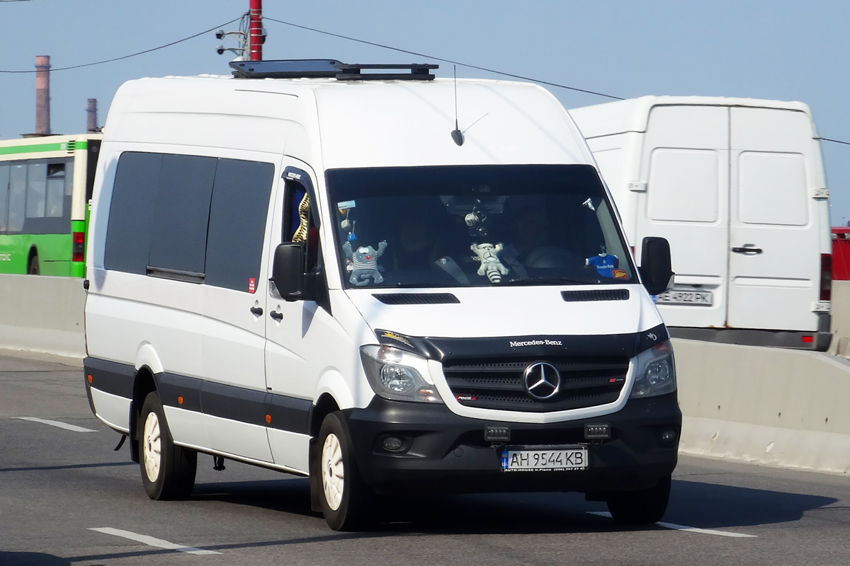 Донецкая область, Mercedes-Benz Sprinter W906 316CDI № AH 9544 KB