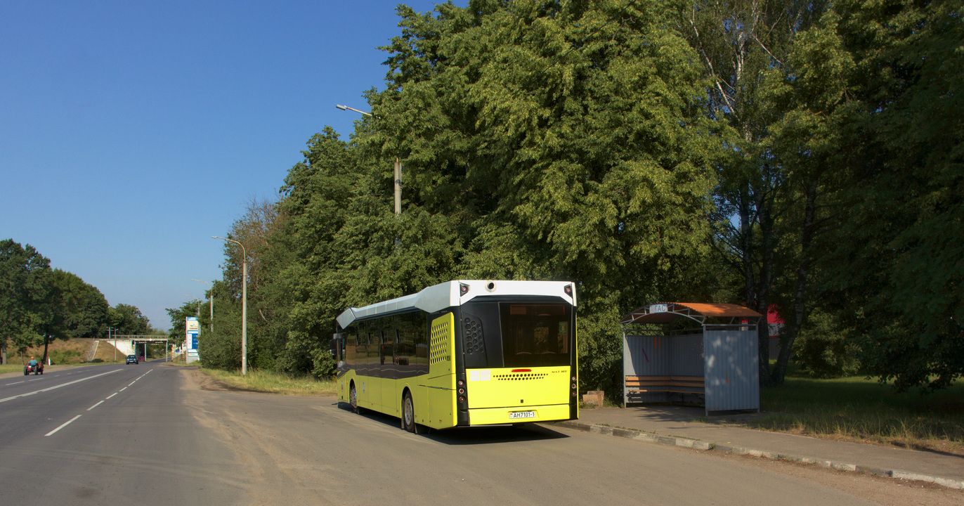 Brest region, MAZ-303.065 № 10250; Brest region — Bus stations, autostations, final stops