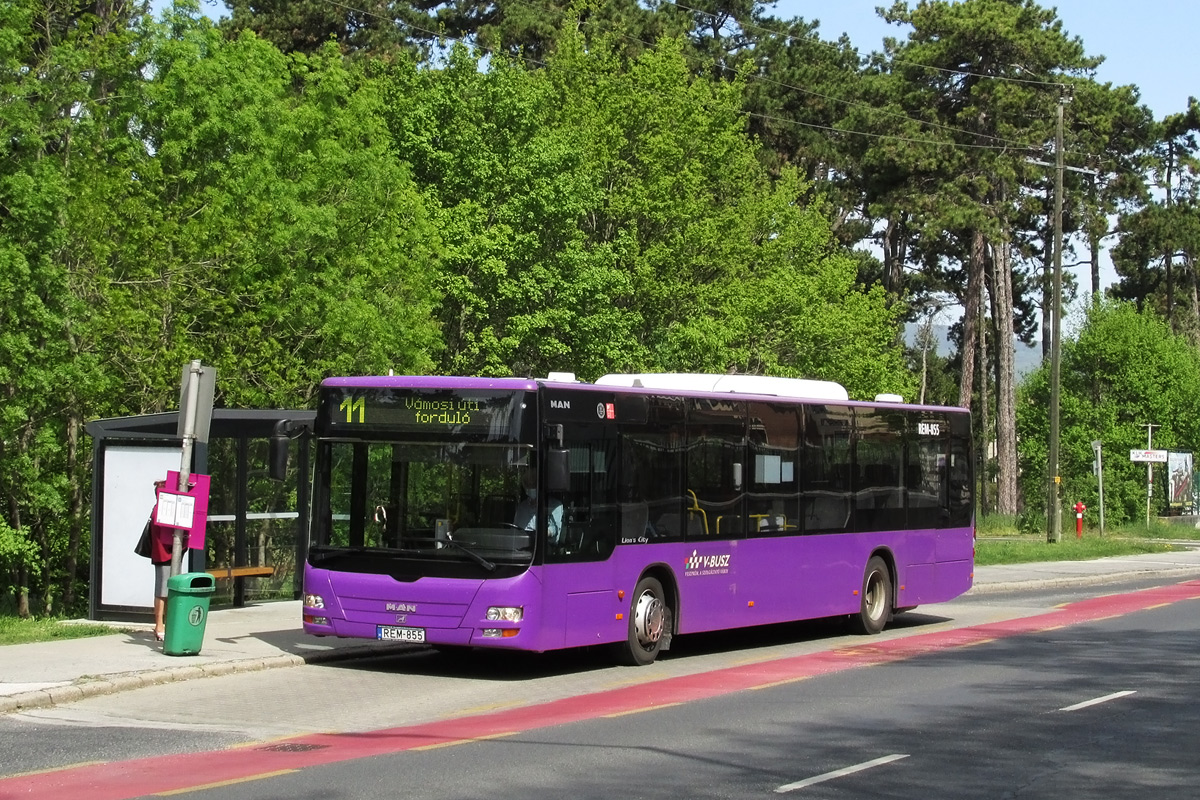 Венгрия, MAN A21 Lion's City NL313 № REM-855 Венгрия, MAN A21 Lion's City NL313 № REM-855