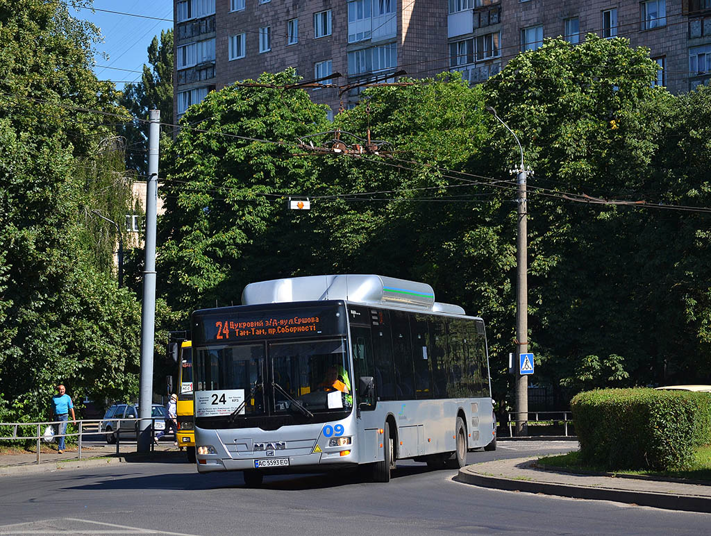 Волынская область, MAN A21 Lion's City NL313 CNG № 09