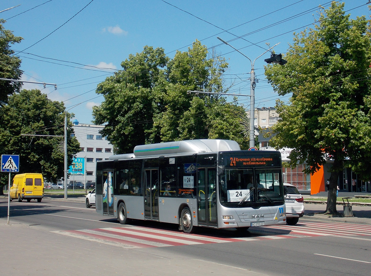 Волынская область, MAN A21 Lion's City NL313 CNG № 11