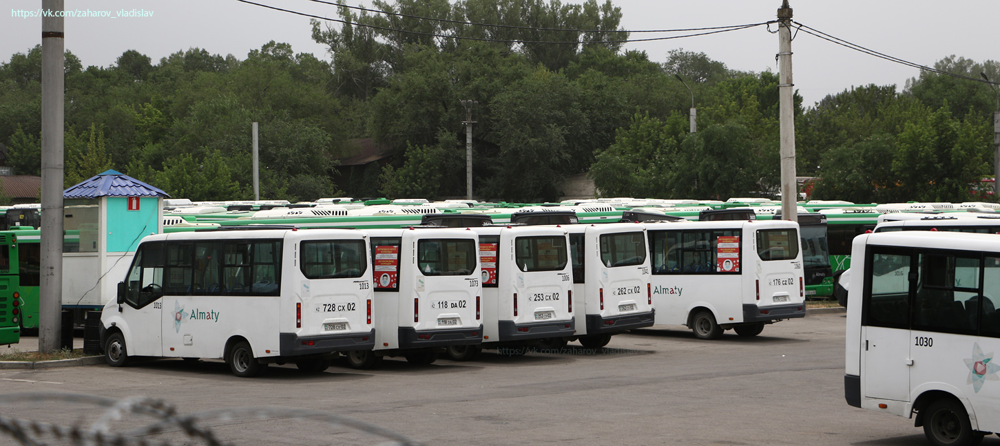 Almaty, GAZ-A63R42 Next (SemAZ) № 1013; Almaty — Bus fleets