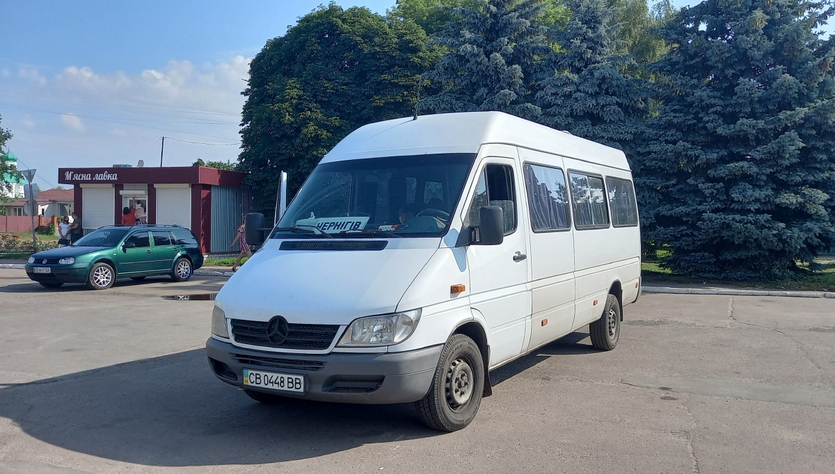 Черниговская область, Mercedes-Benz Sprinter W903 308CDI № CB 0448 BB