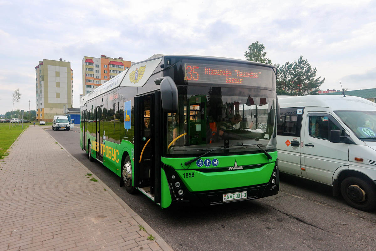 Гомельская область, МАЗ-303.E10 № 1858