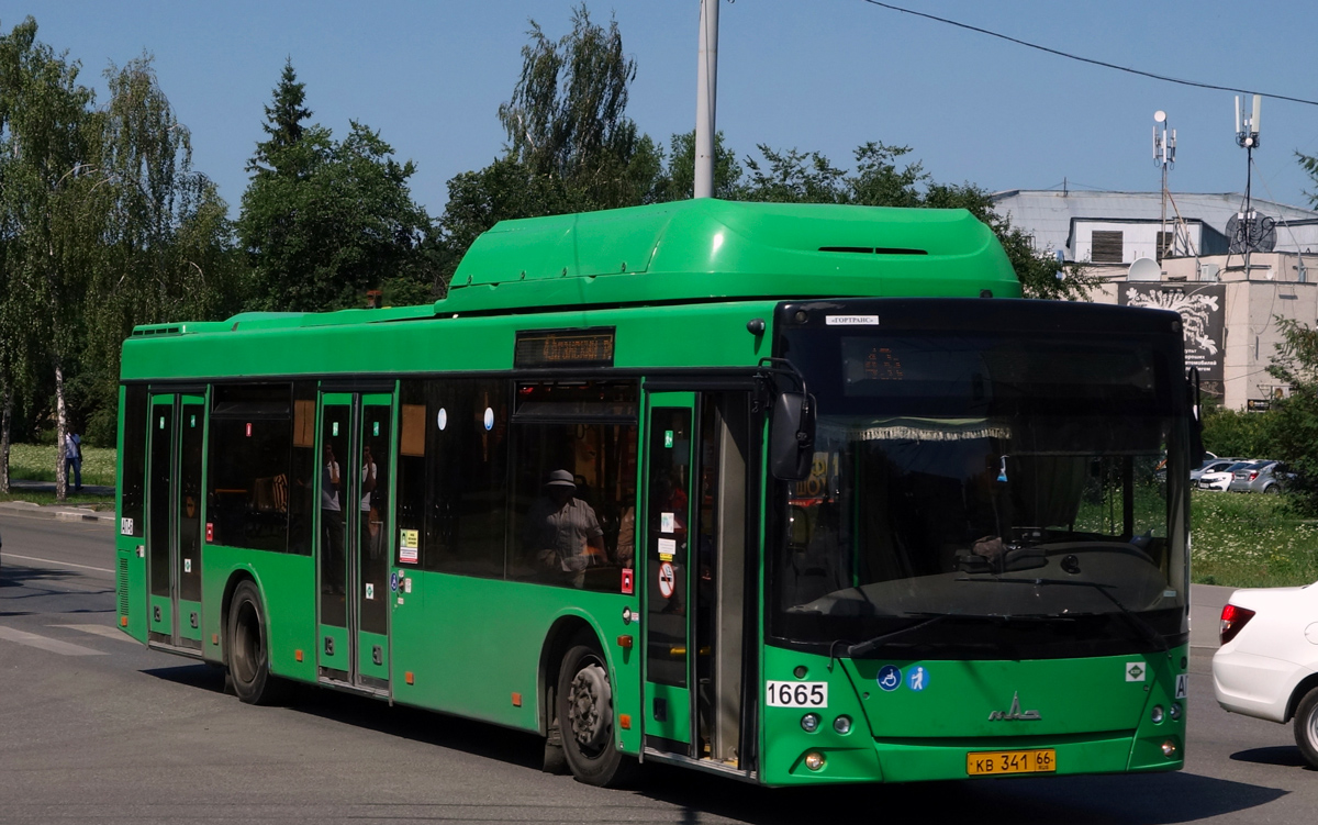 Свердловская область, МАЗ-203.L65 № 1665