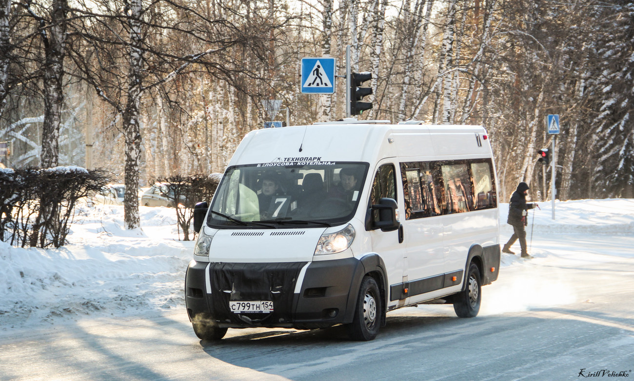 Новосибирская область, IRITO Boxer L4H2 (Z8P) № С 799 ТН 154