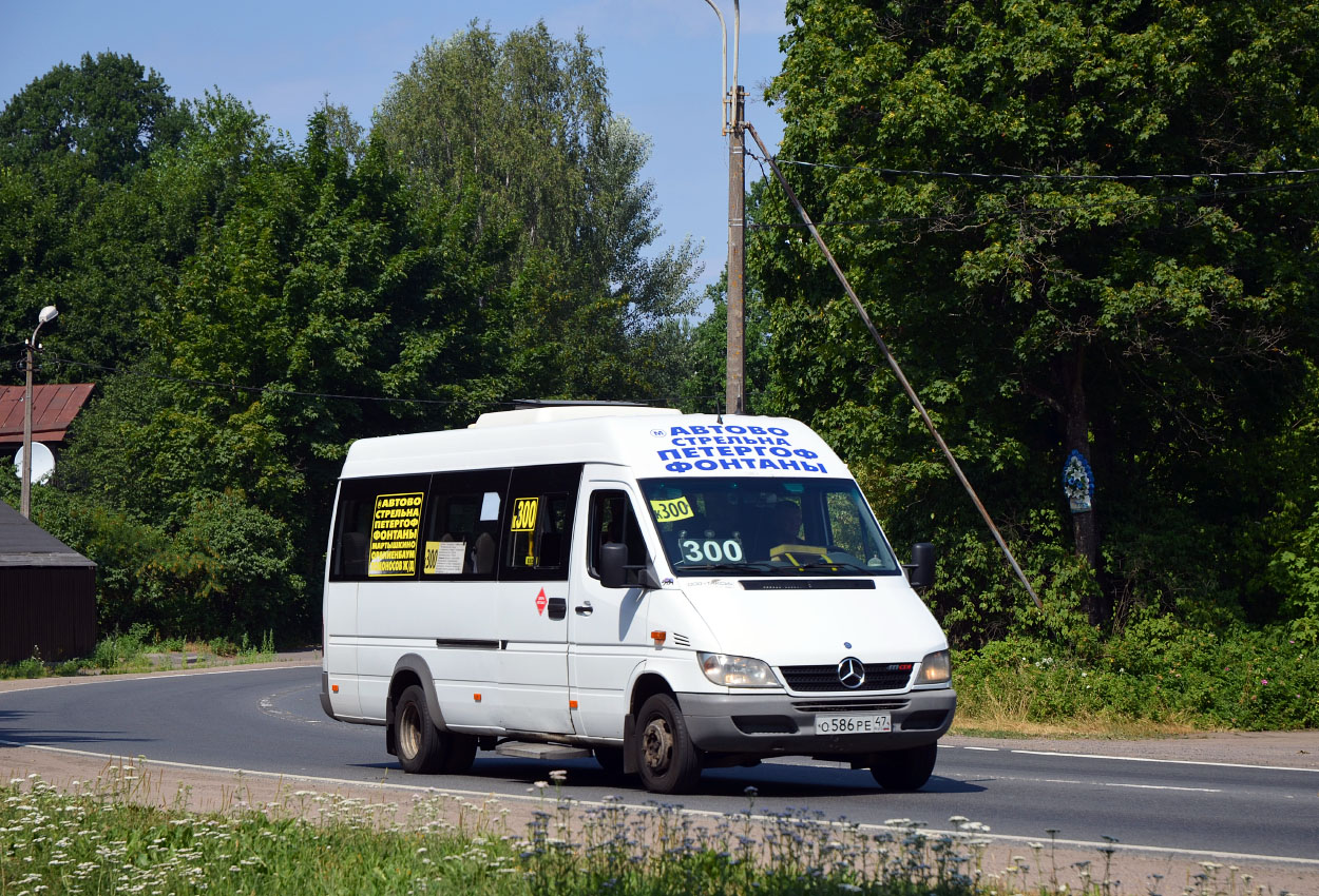 Санкт-Петербург, Луидор-223237 (MB Sprinter Classic) № О 586 РЕ 47