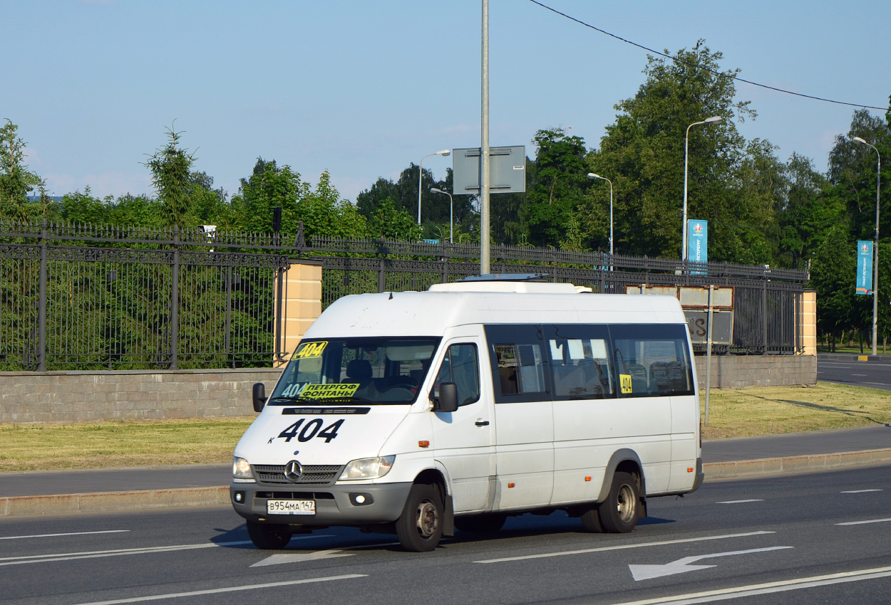 Санкт-Петербург, Луидор-223237 (MB Sprinter Classic) № В 954 МА 147