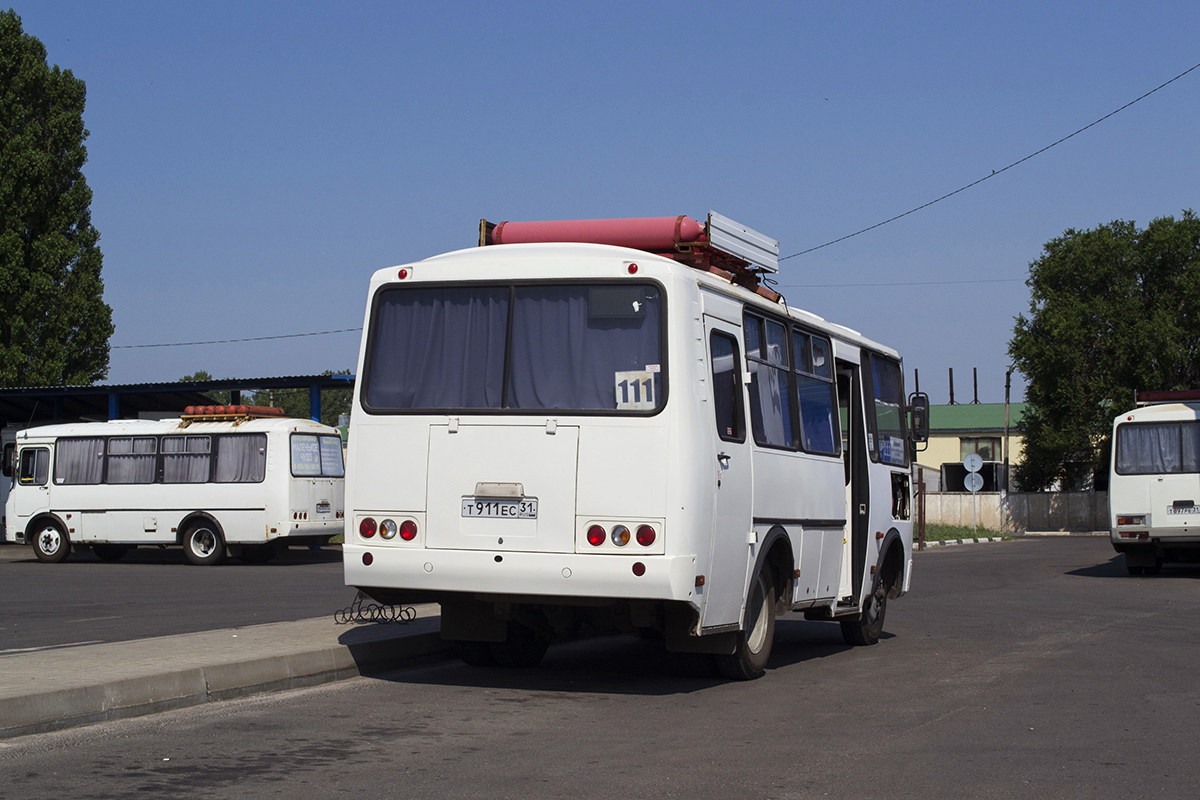 Белгородская область, ПАЗ-32053 № Т 911 ЕС 31