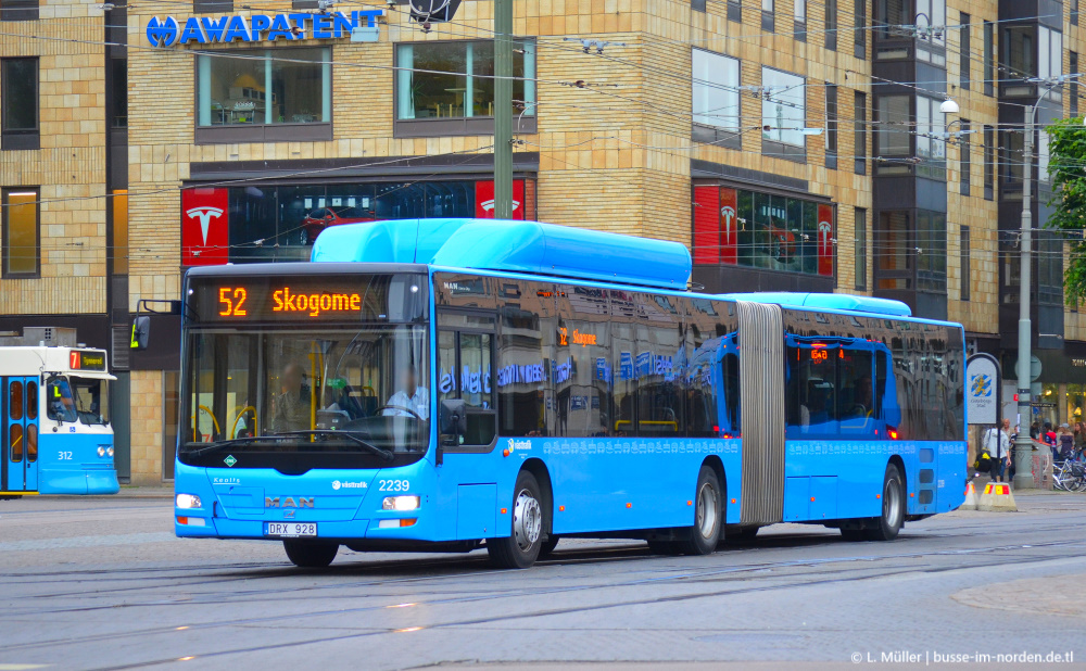 Швеция, MAN A23 Lion's City G NG313 CNG № 2239