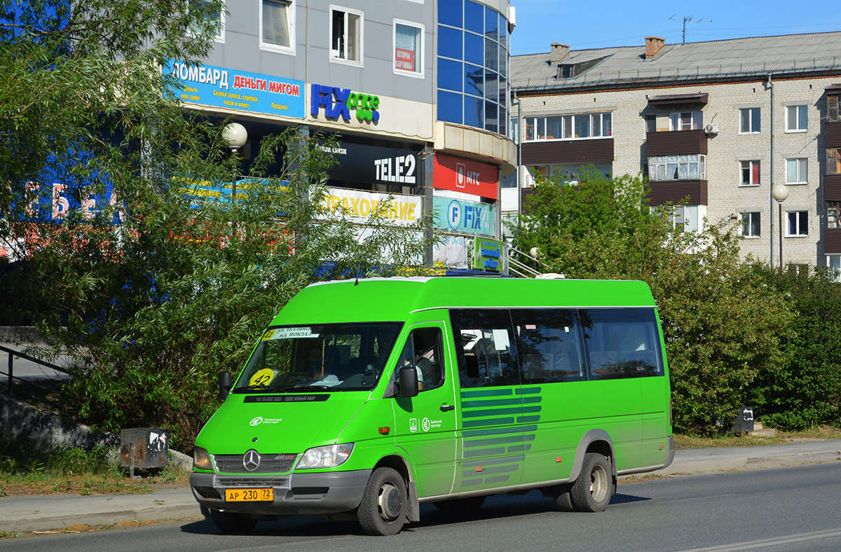 Тюменская область, Луидор-223203 (MB Sprinter Classic) № АР 230 72