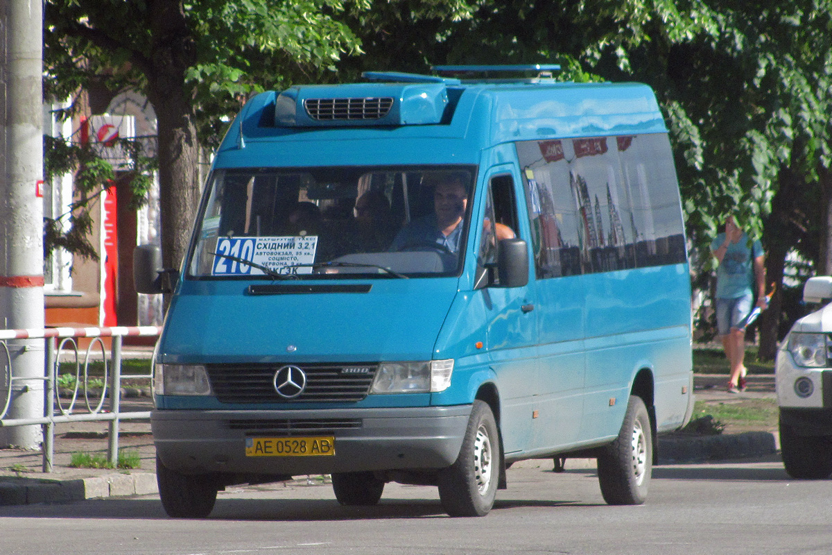 Днепропетровская область, Mercedes-Benz Sprinter W903 310D № AE 0528 AB