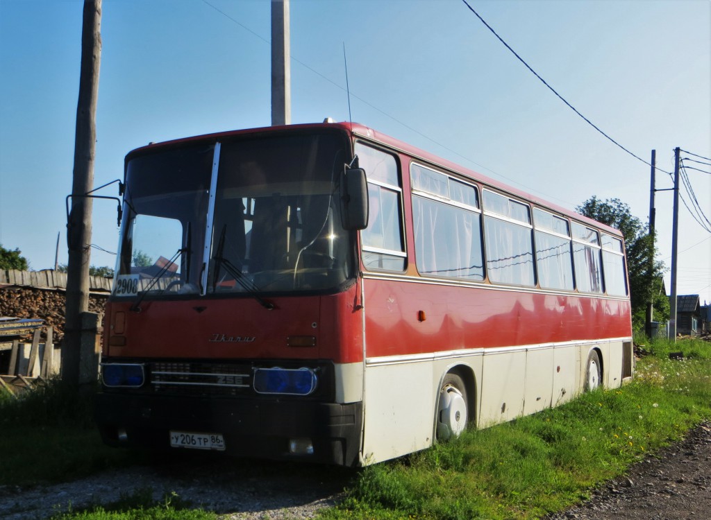 Свердловская область, Ikarus 256.74 № У 206 ТР 86