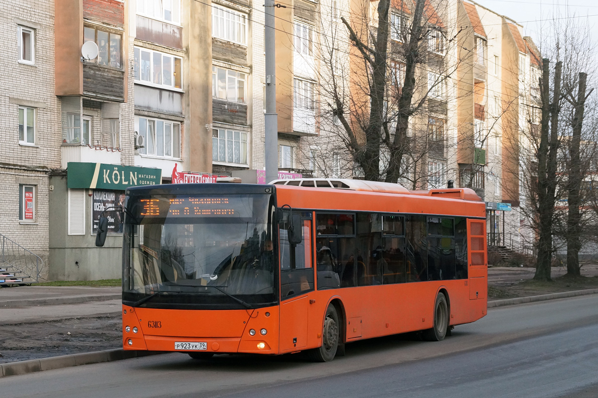 Калининградская область, МАЗ-203.085 № 63113