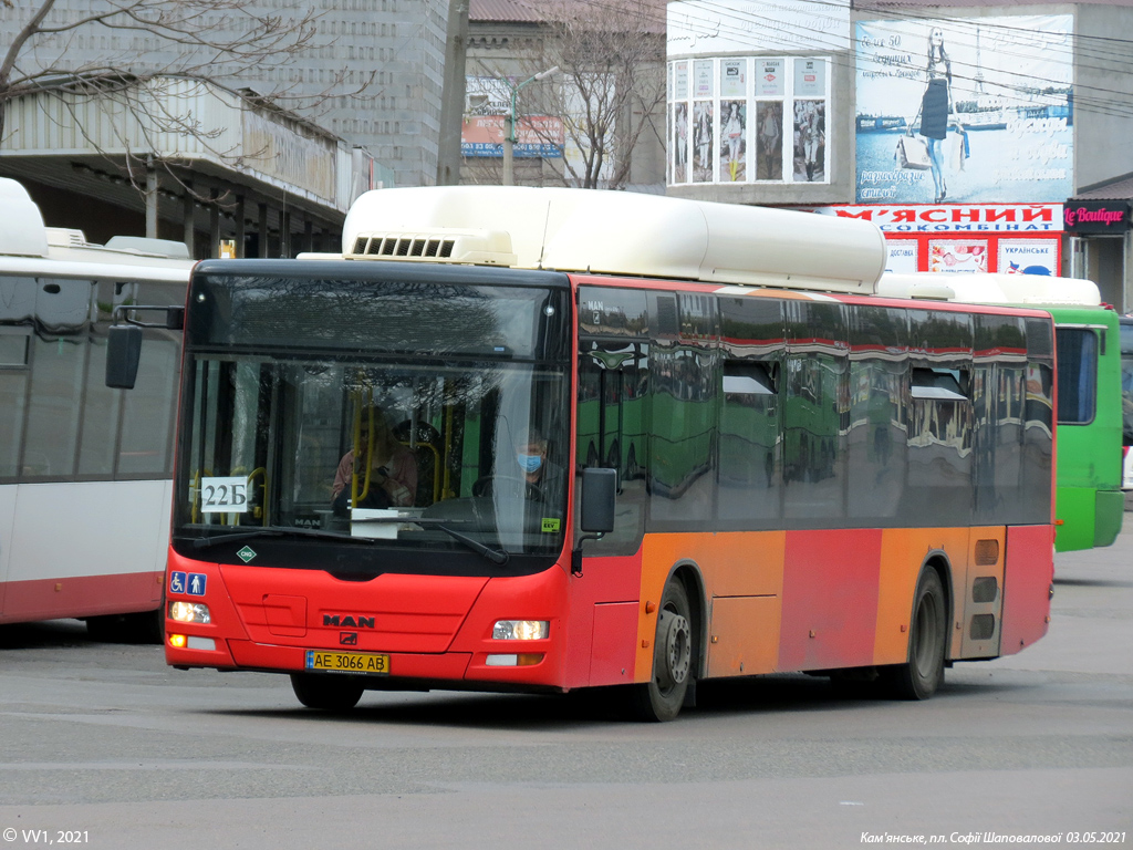 Днепропетровская область, MAN A21 Lion's City NL313 CNG № AE 3066 AB