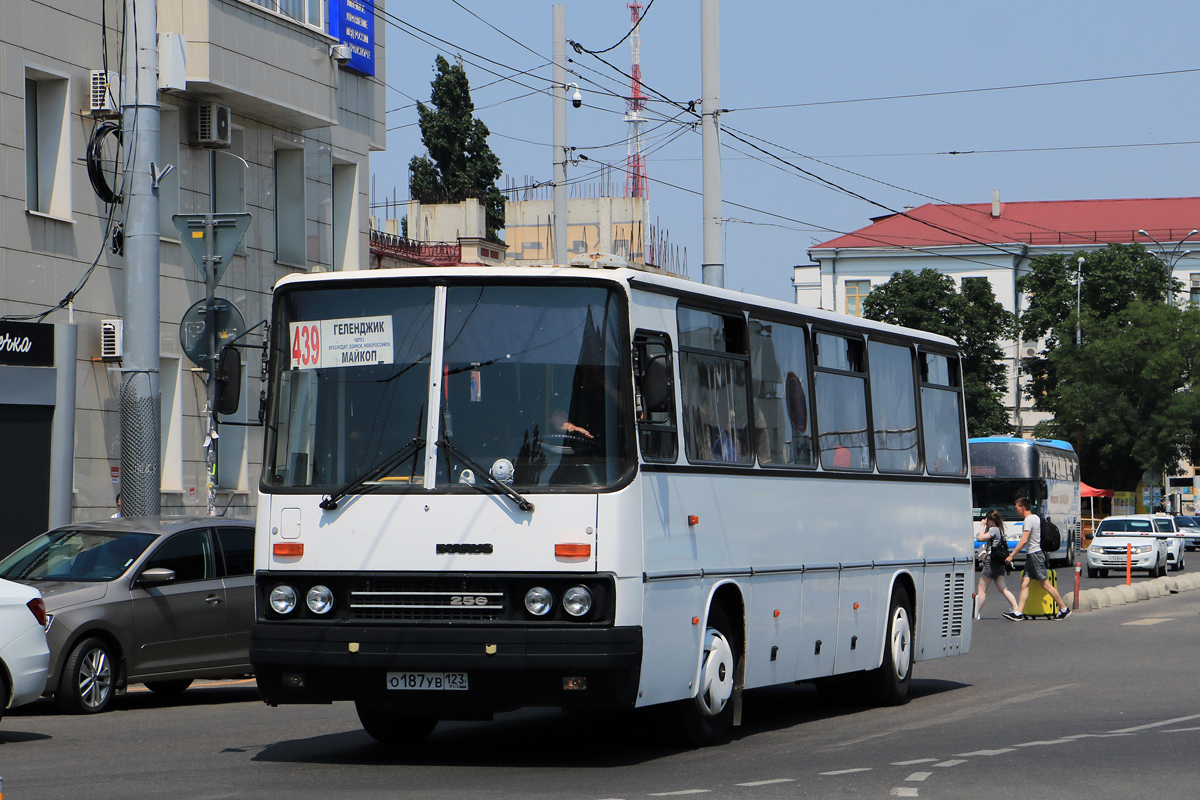 Адыгея, Ikarus 256.21H № О 187 УВ 123