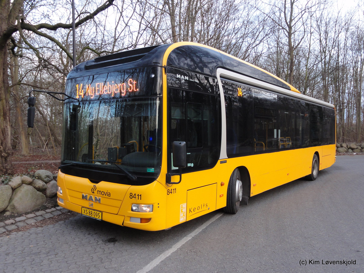 Дания, MAN A37 Lion's City Hybrid NL253 № 8411