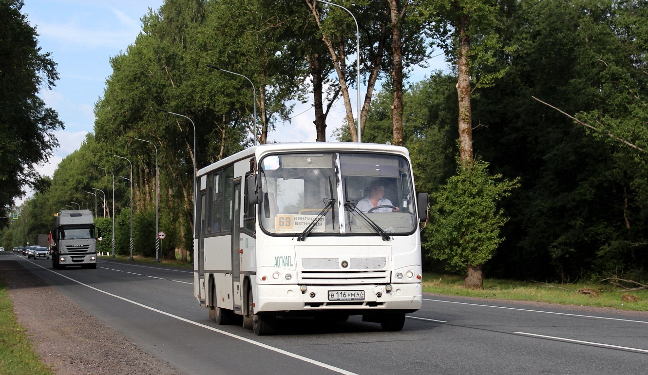 Ленинградская область, ПАЗ-320402-05 № 04502