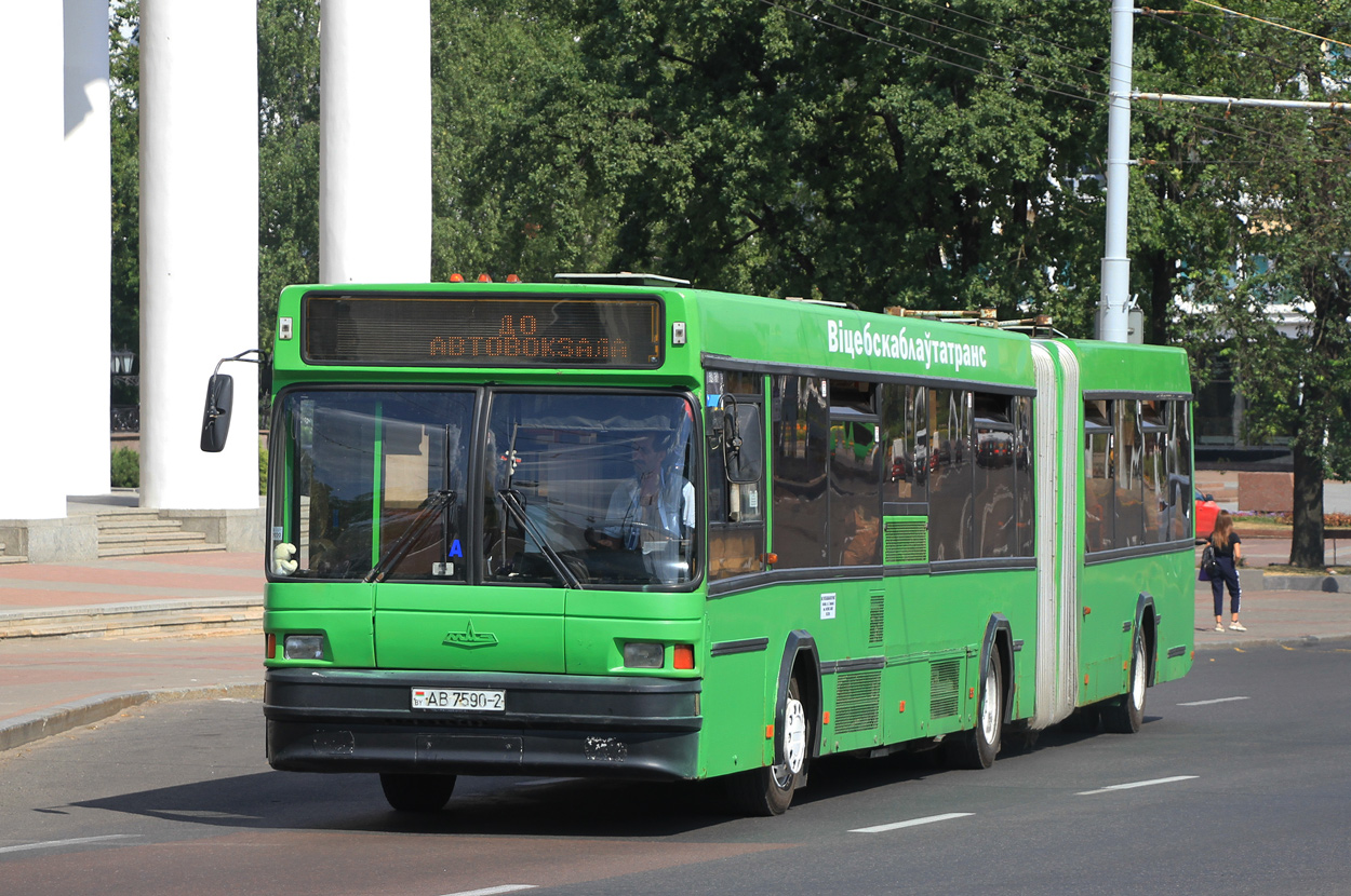 Vitebsk region, MAZ-105.065 Nr. 010456