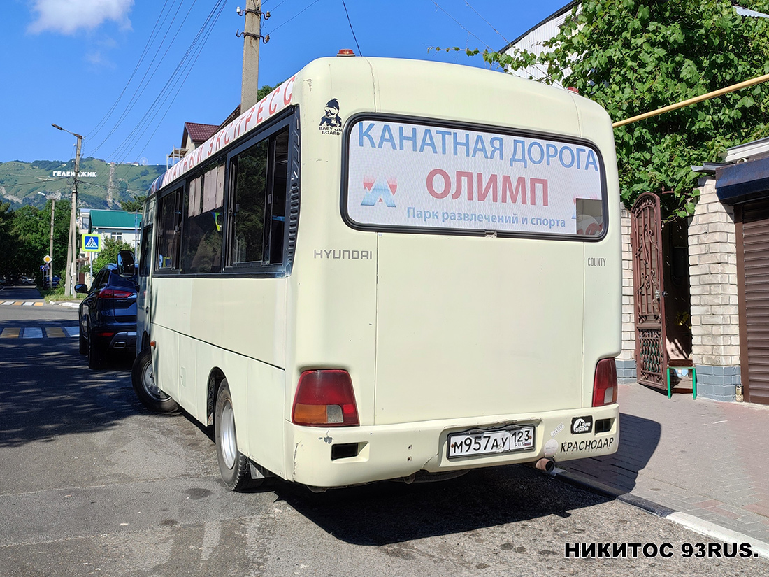 Краснодарский край, Hyundai County SWB C08 (РЗГА) № М 957 АУ 123