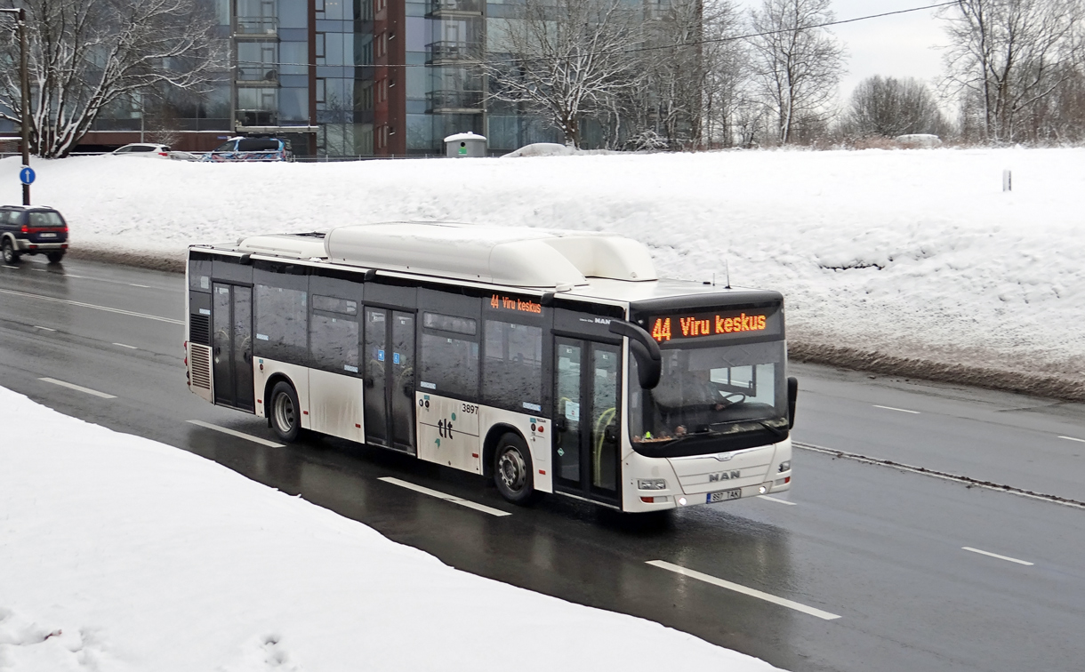 Эстония, MAN A21 Lion's City NL313 CNG № 3897