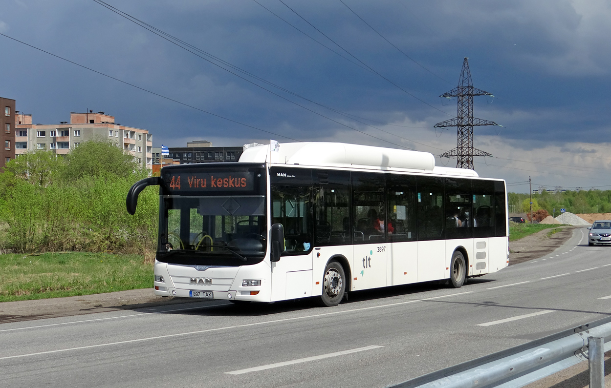 Эстония, MAN A21 Lion's City NL313 CNG № 3897