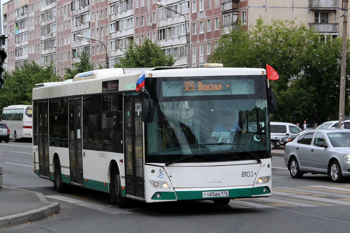 Санкт-Петербург, МАЗ-203.085 № 8103