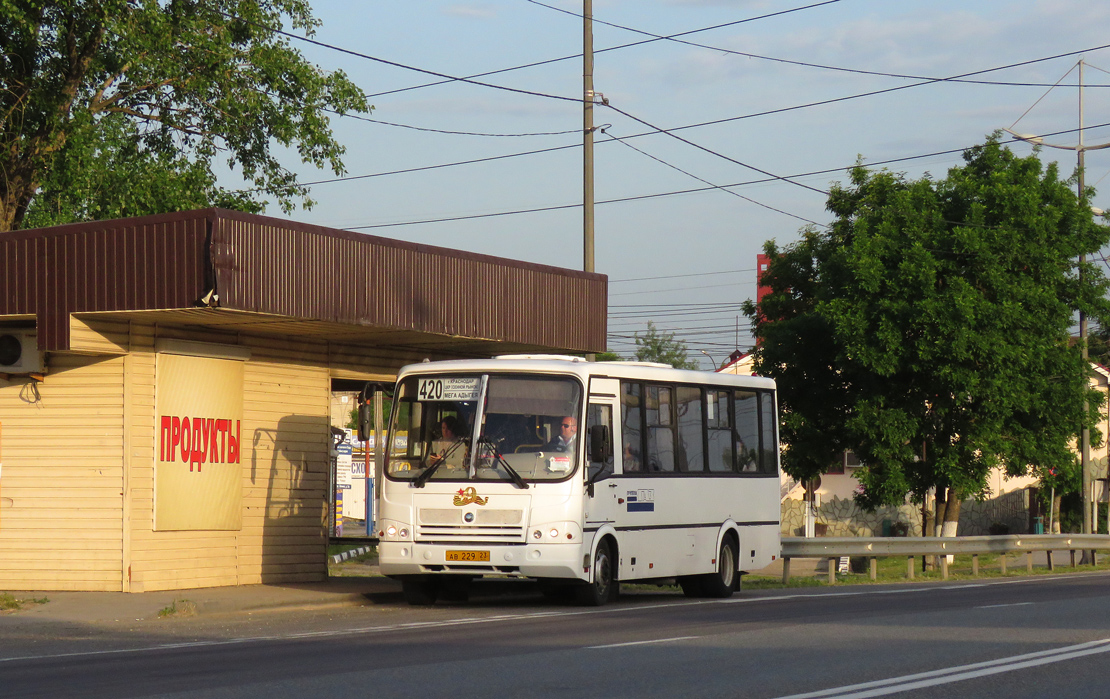 Краснодарский край, ПАЗ-320412-05 № АВ 229 23