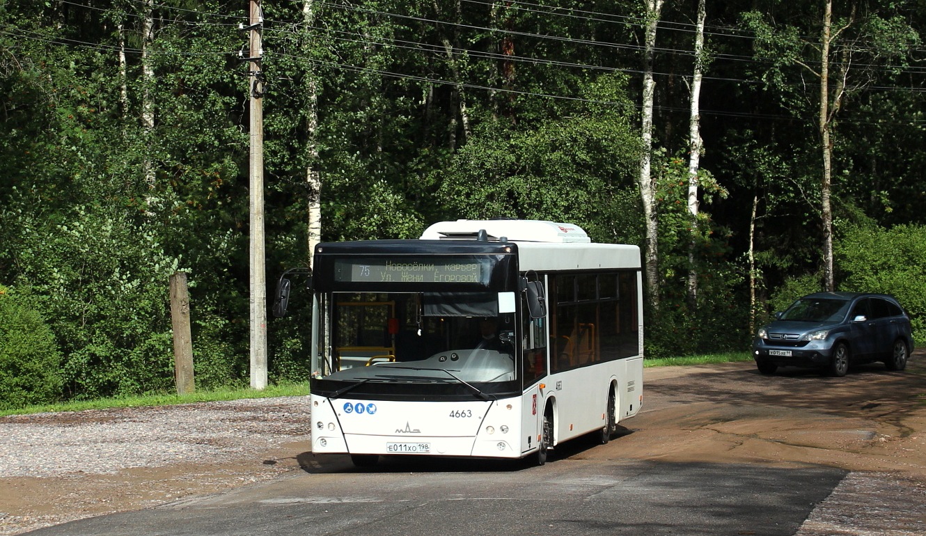 Sankt Petersburg, MAZ-206.086 Nr 4663